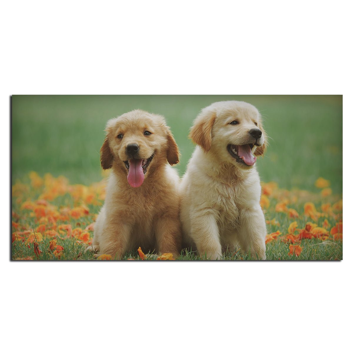 Golden Retriever Puppies Premium Canvas Wall Painting - Decor Smart