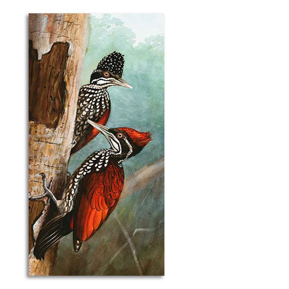 Ivory Billed Woodpecker Canvas Wall Painting For Hall - Decor Smart