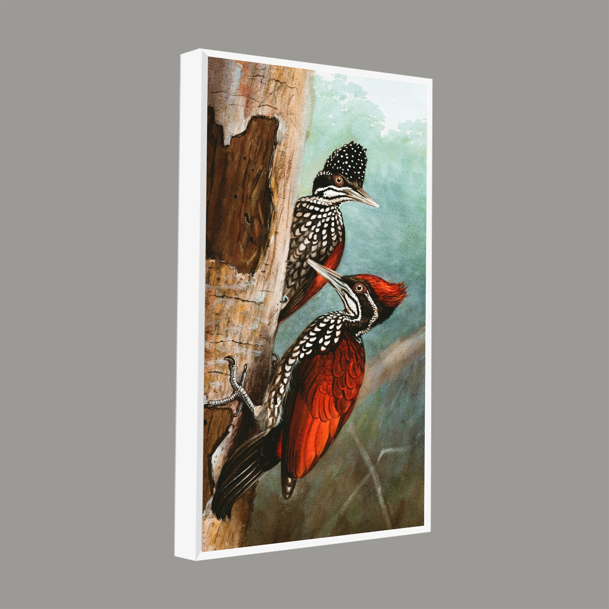 Ivory Billed Woodpecker Canvas Wall Painting For Hall - Decor Smart