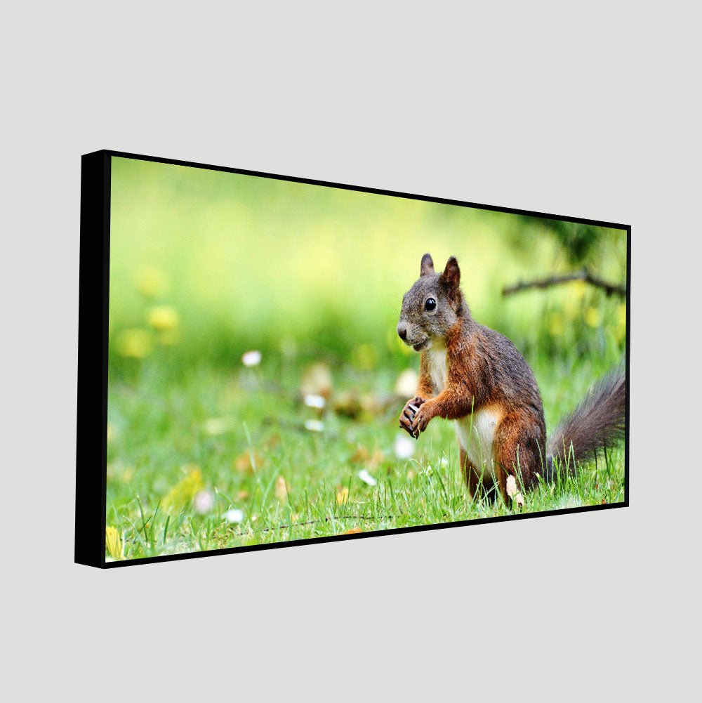 Little Squirrel in the Park Premium Wall Painting - Decor Smart