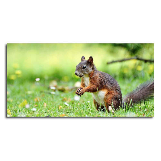 Little Squirrel in the Park Premium Wall Painting - Decor Smart