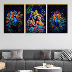 Lord Krishna Shri Radha and Peacocks Floating Frame Crystal Wall Painting Set of 3