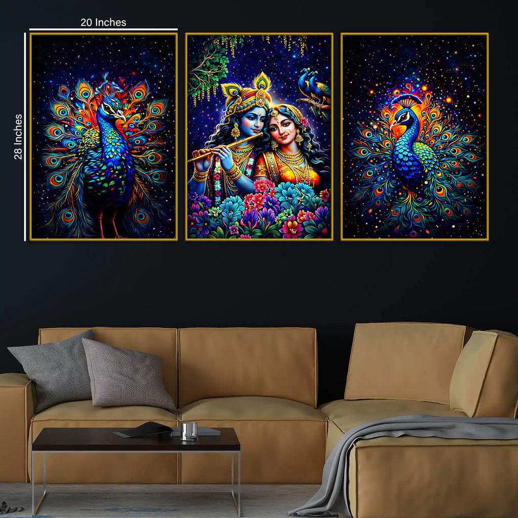 Lord Krishna Shri Radha and Peacocks Floating Frame Crystal Wall Painting Set of 3