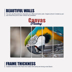 Macaw Parrot Canvas Wall Painting Set of Five