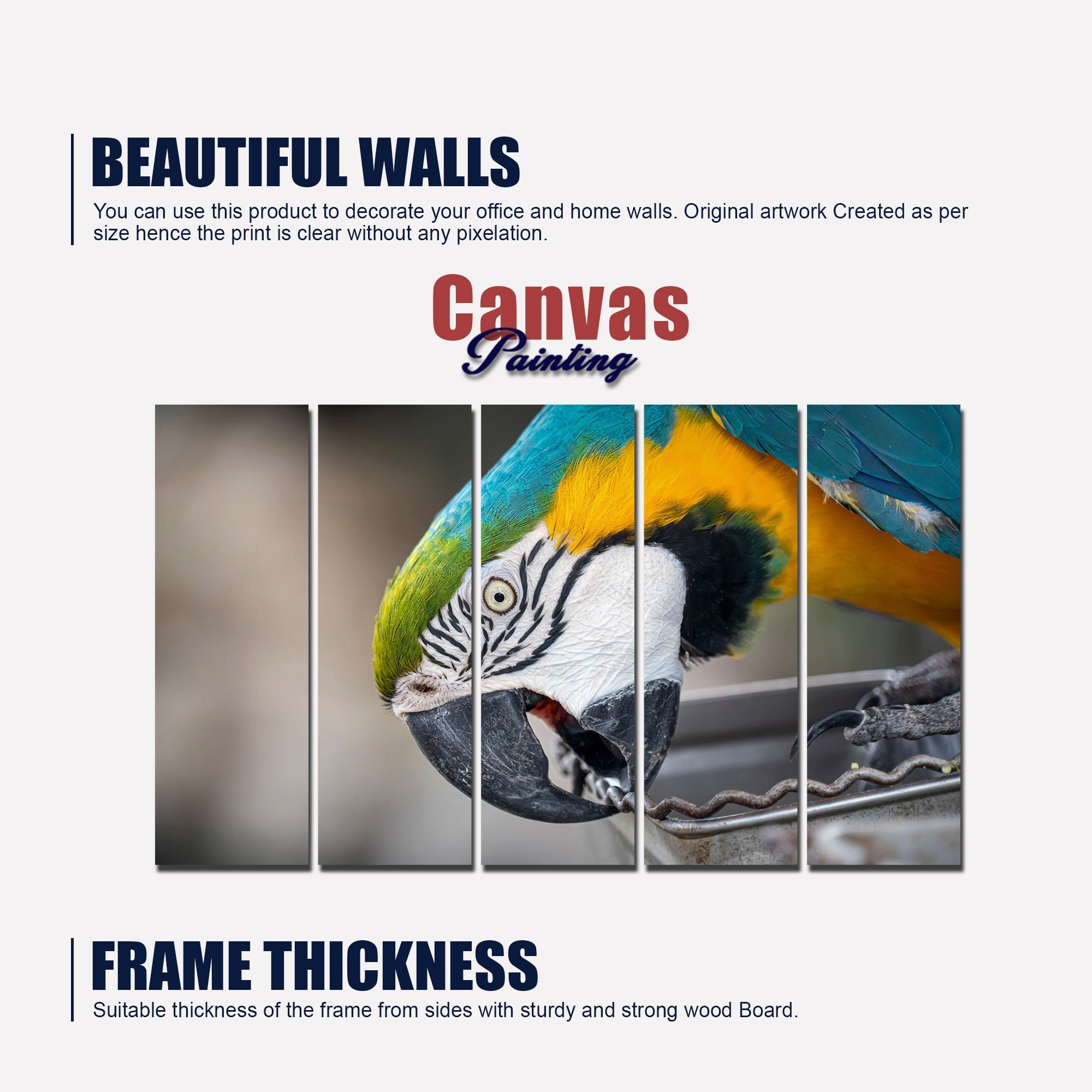 Macaw Parrot Canvas Wall Painting Set of Five