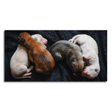 New Born Puppies Premium Canvas Wall Painting - Decor Smart