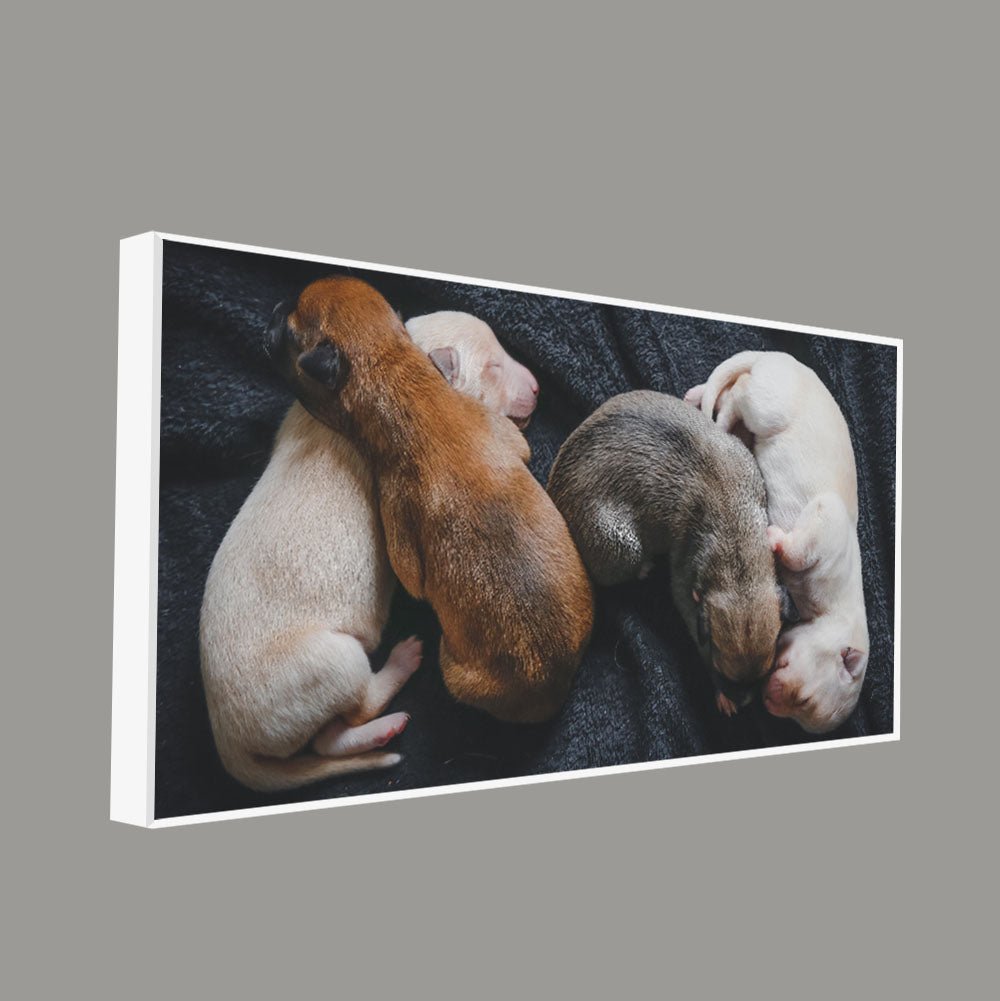 New Born Puppies Premium Canvas Wall Painting - Decor Smart