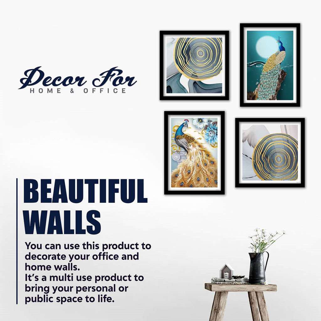 Peacock Golden Textured Feather Wall Frame Set of Four