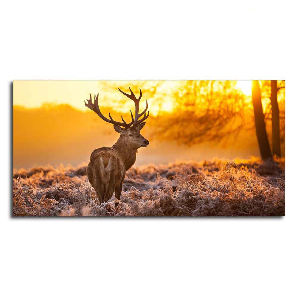 Premium Canvas Painting of Red Deer in Forest at Sunrise - Decor Smart