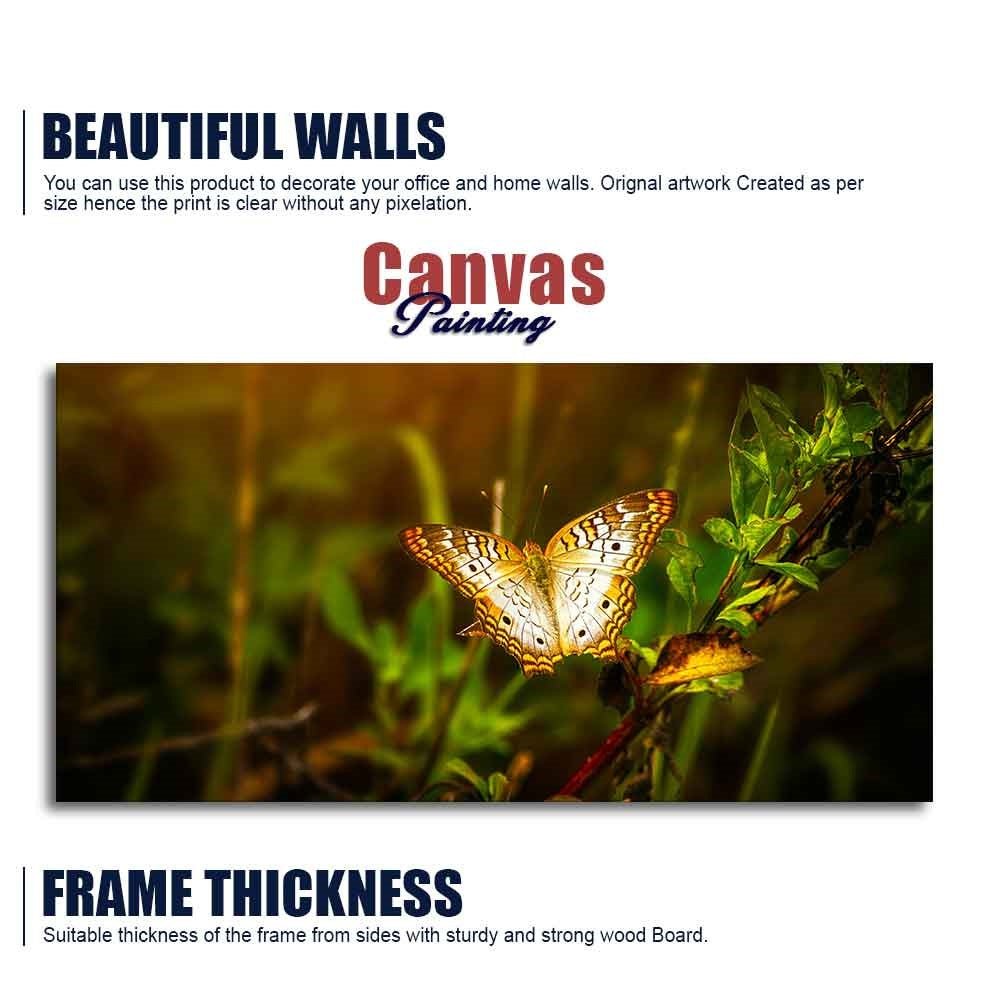 Premium Canvas Wall Painting of A Beautiful Butterfly in Forest - Decor Smart
