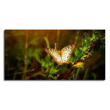Premium Canvas Wall Painting of A Beautiful Butterfly in Forest - Decor Smart