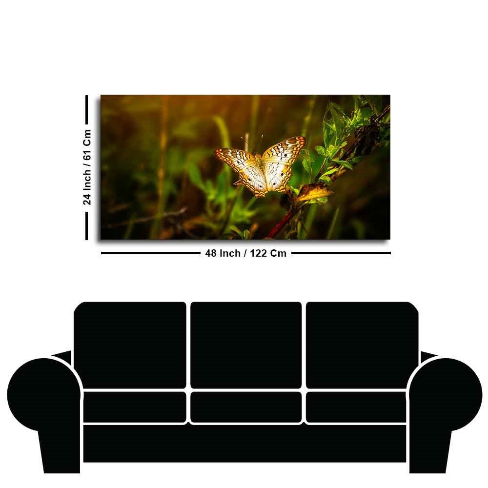 Premium Canvas Wall Painting of A Beautiful Butterfly in Forest - Decor Smart