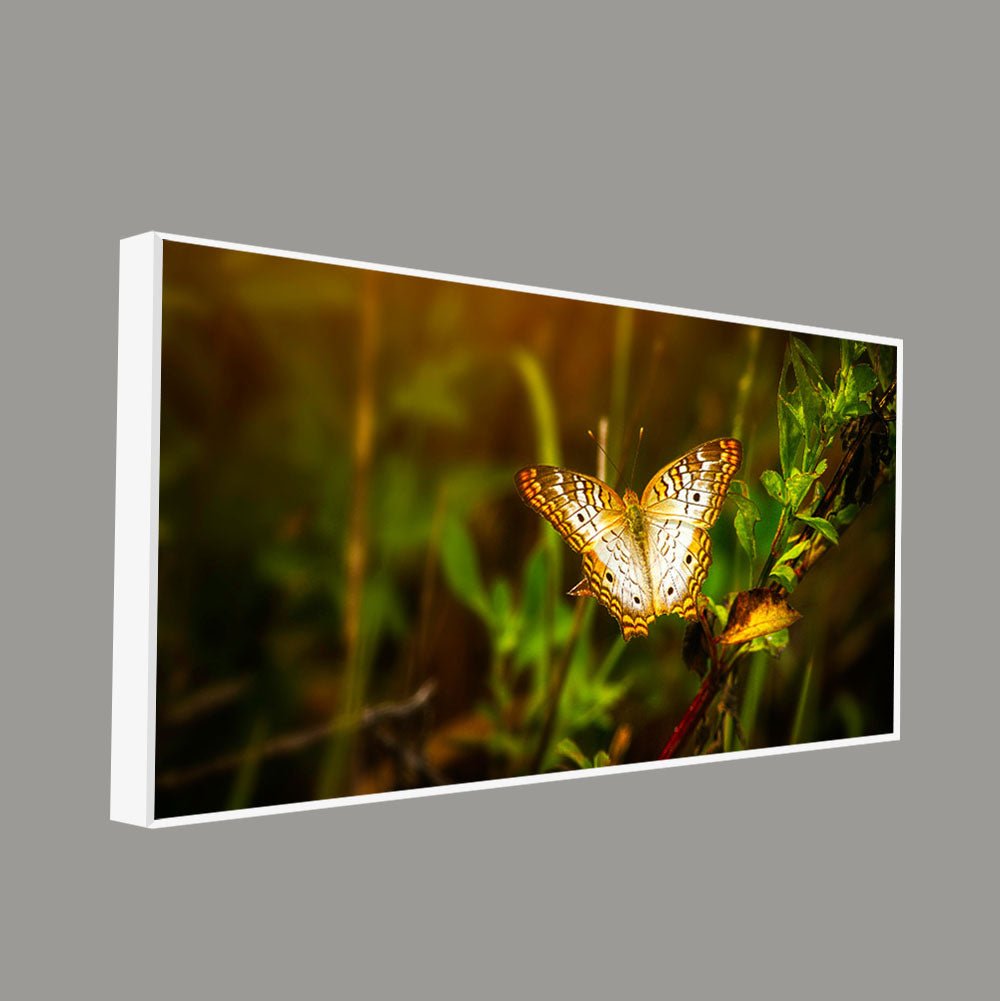 Premium Canvas Wall Painting of A Beautiful Butterfly in Forest - Decor Smart