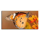 Premium Canvas Wall Painting of Beautiful Butterfly on Flower - Decor Smart