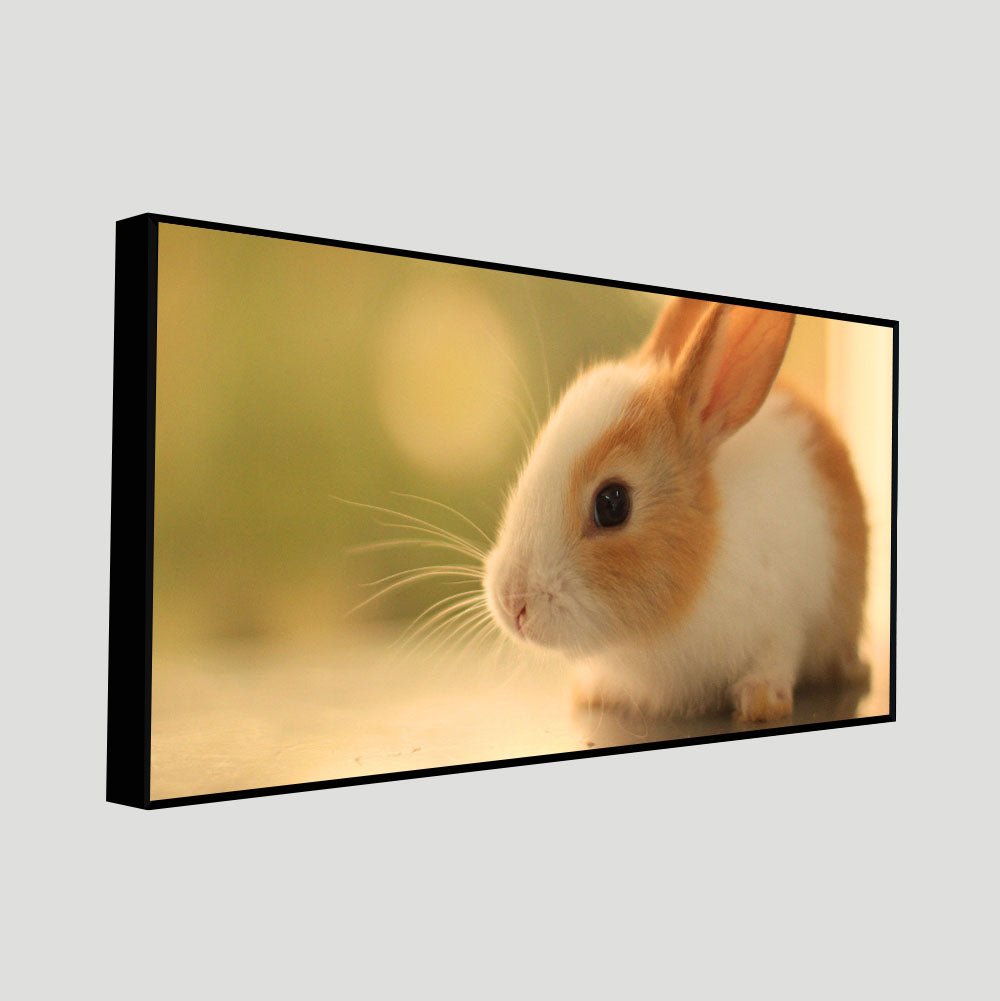 Premium Canvas Wall Painting of Cute White & Brown Bunny - Decor Smart