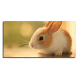 Premium Canvas Wall Painting of Cute White & Brown Bunny - Decor Smart