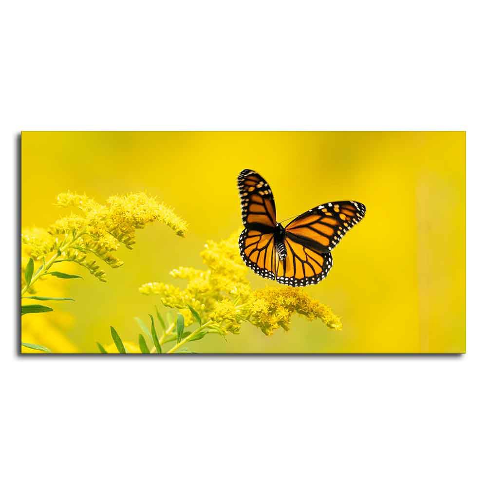 Premium Canvas Wall Painting of Monarch Butterfly on Yellow Flower - Decor Smart