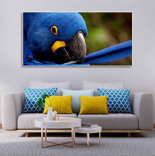 Blue Macaw Parrot Canvas – Premium Wall Painting - Decor Smart