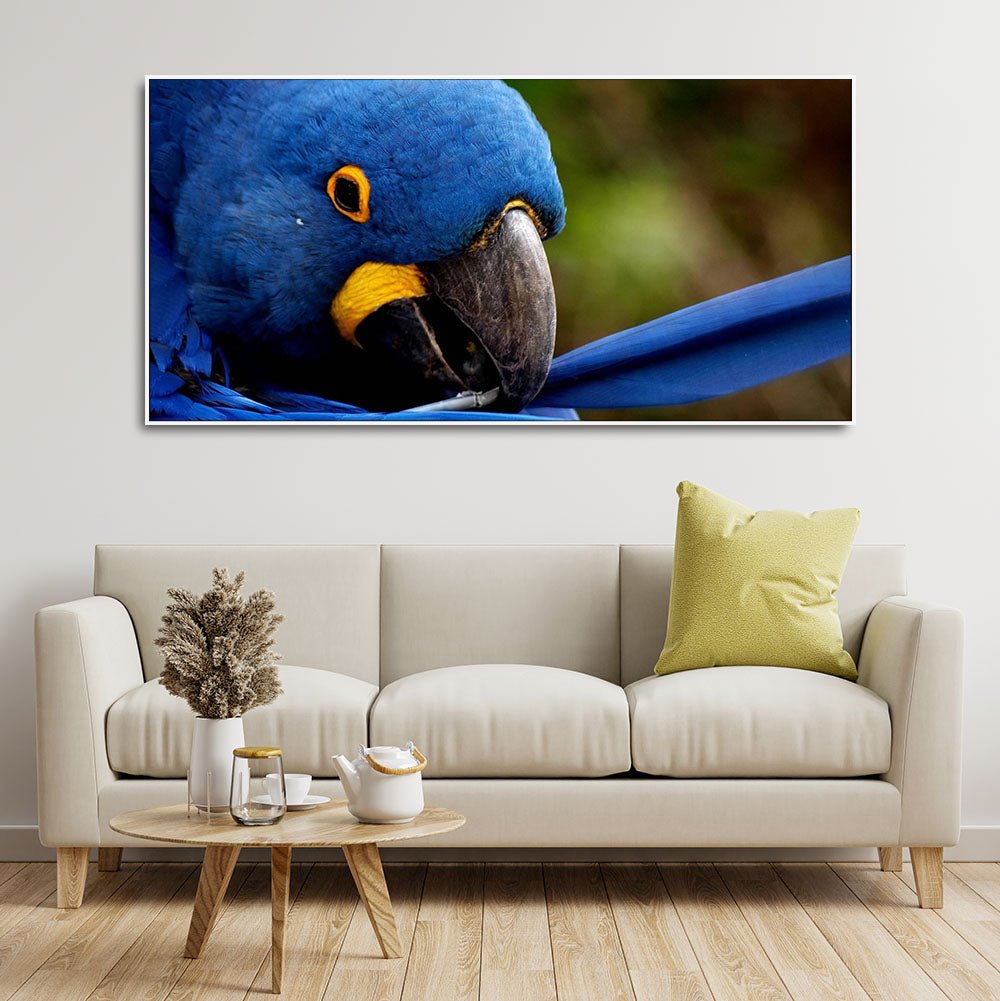 Blue Macaw Parrot Canvas – Premium Wall Painting - Decor Smart