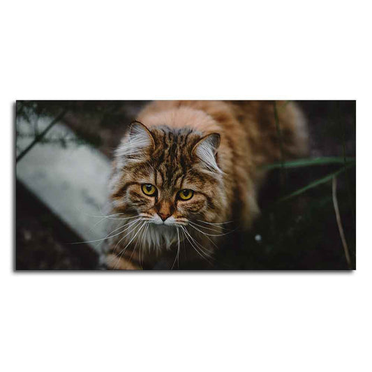 Premium Wall Painting of Cat Walking in Dark Forest - Decor Smart