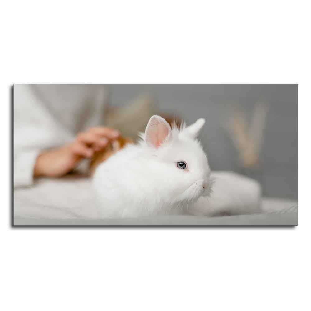 Premium Wall Painting of Cute White Bunny - Decor Smart