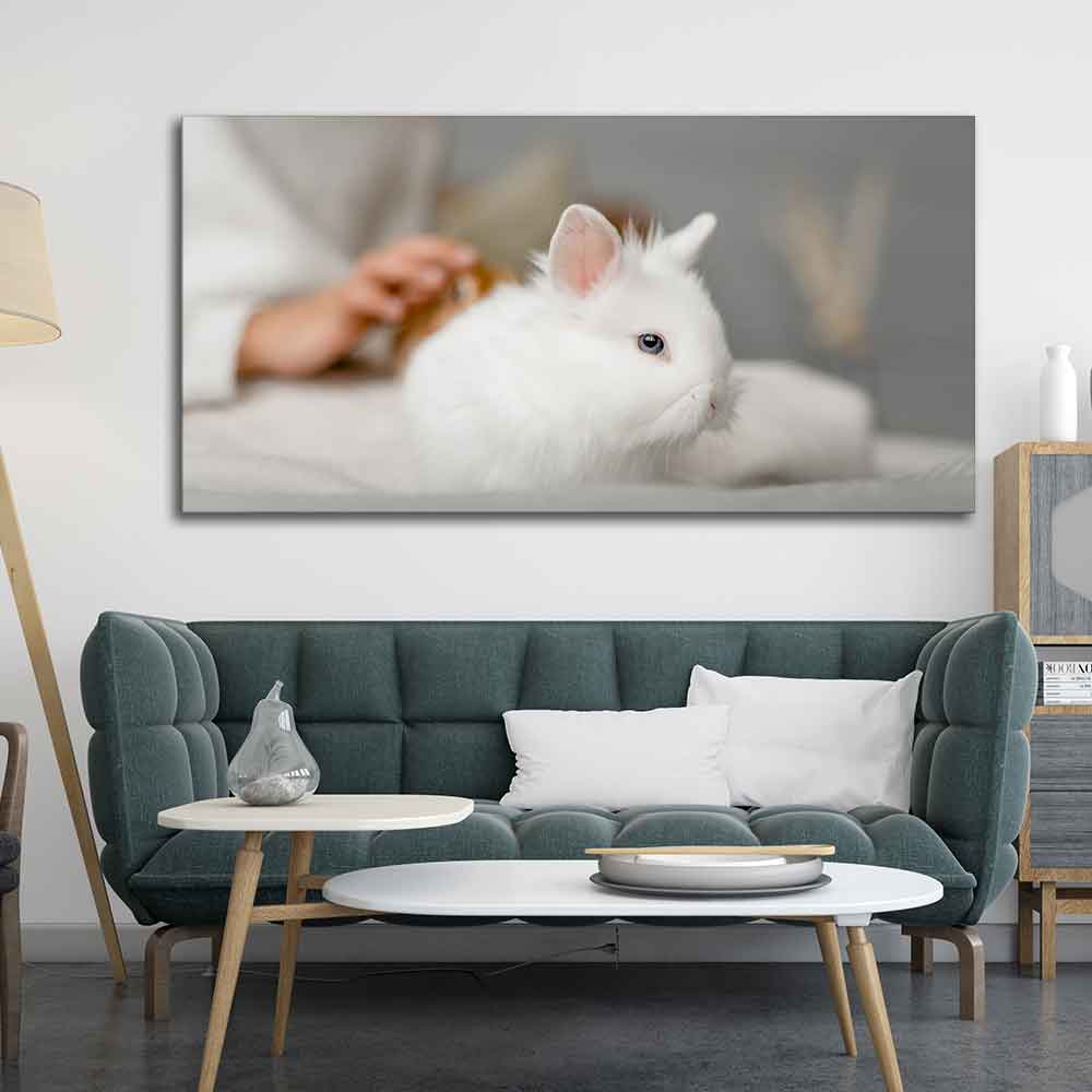 Premium Wall Painting of Cute White Bunny - Decor Smart
