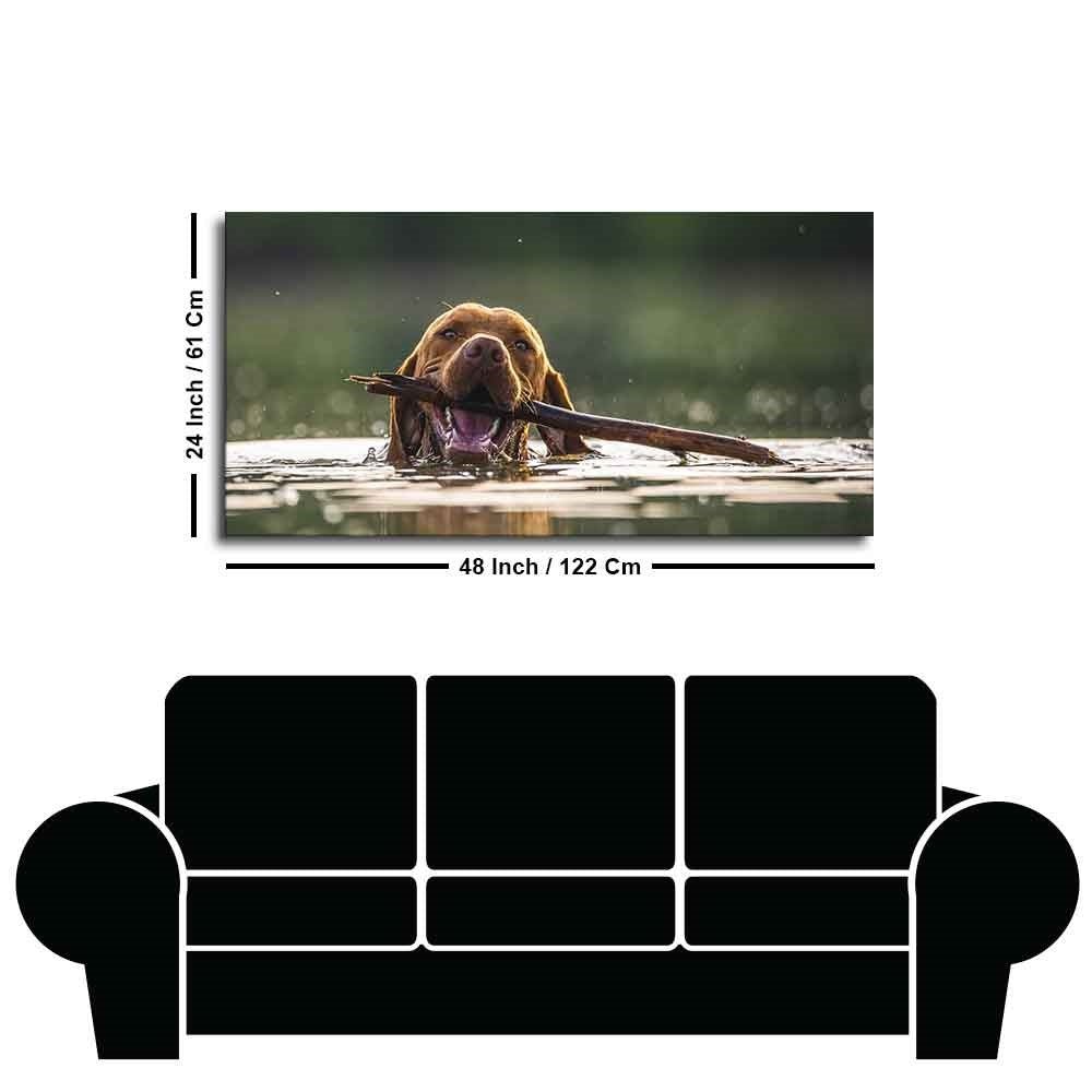 Premium Wall Painting of Dog Swimming - Decor Smart
