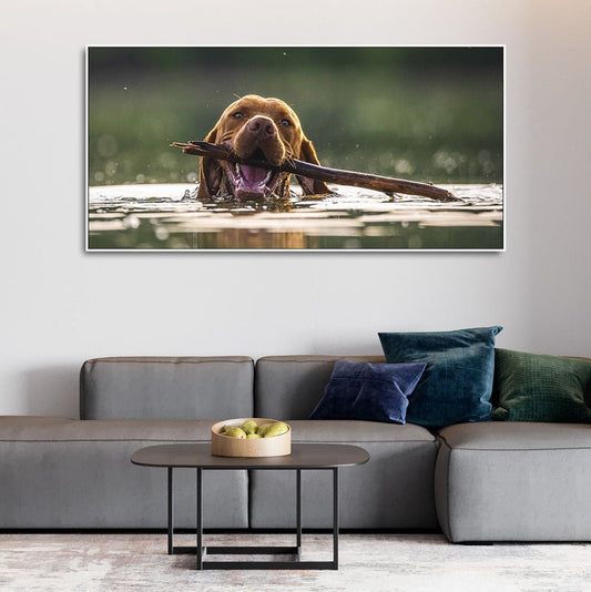 Premium Wall Painting of Dog Swimming - Decor Smart