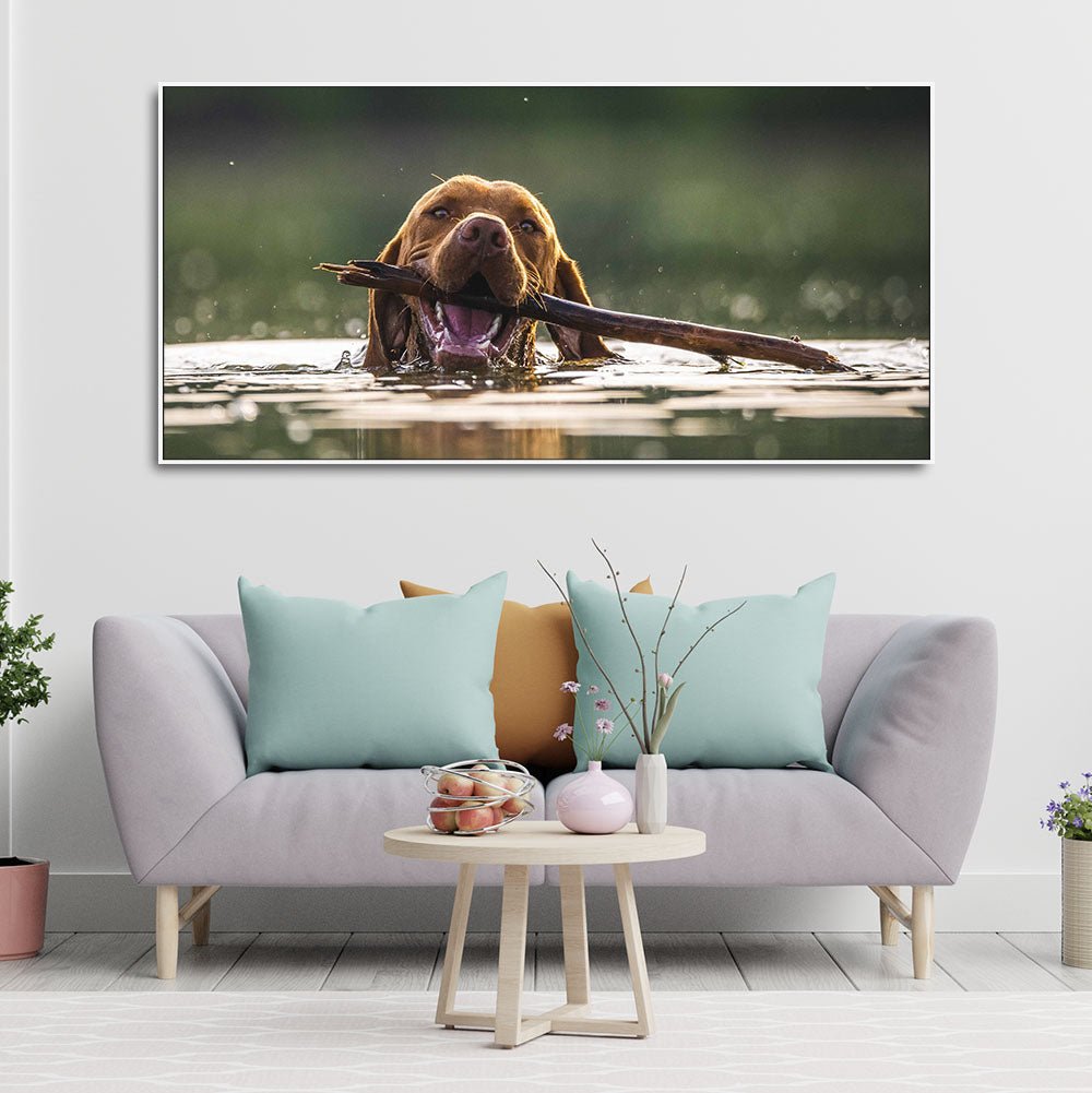 Premium Wall Painting of Dog Swimming - Decor Smart
