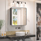 Sleek Black Edge Mirror Cabinet with Storage Shelves