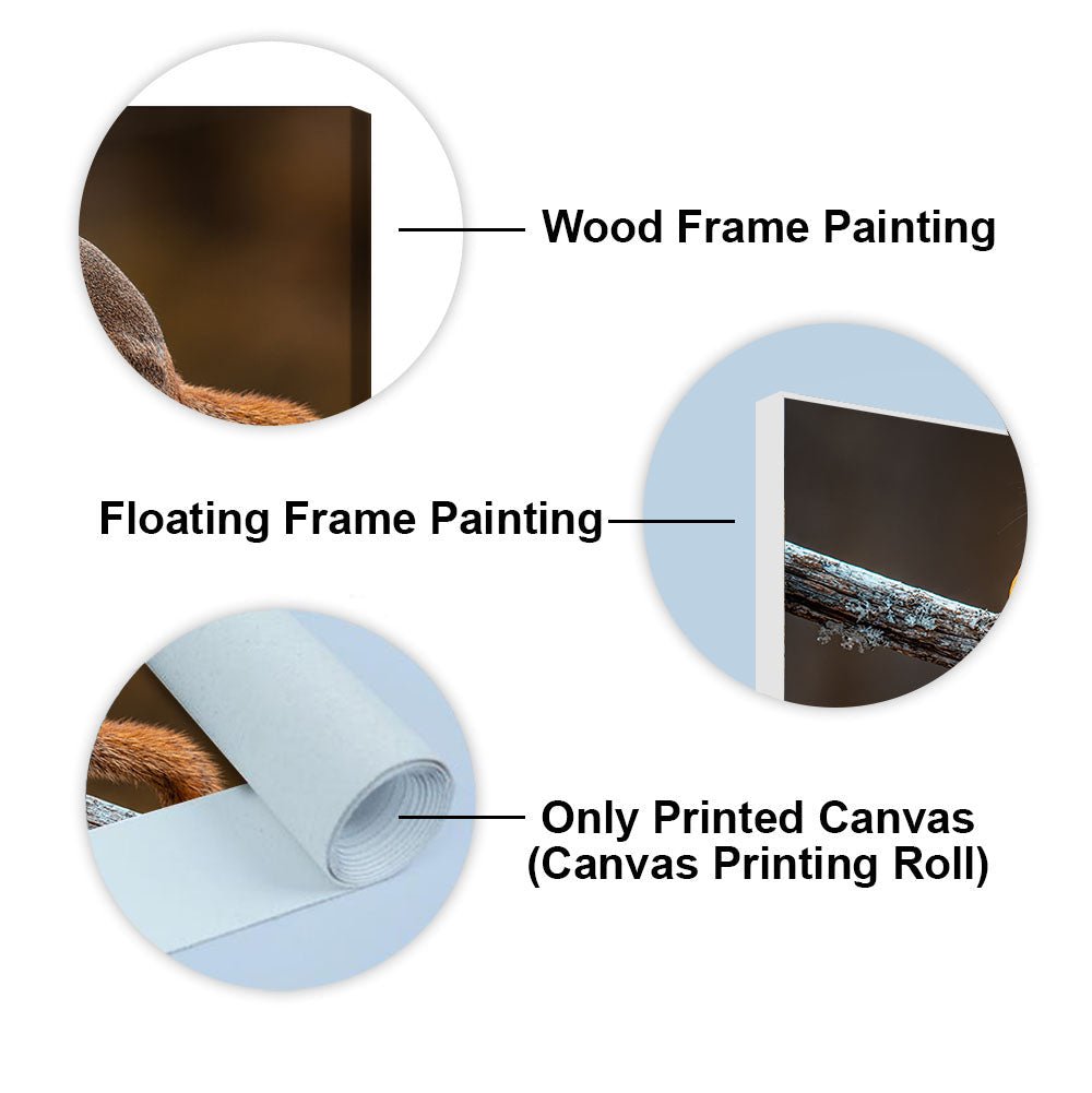 Squirrel on Tree Branch – Premium Canvas Wall Painting - Decor Smart