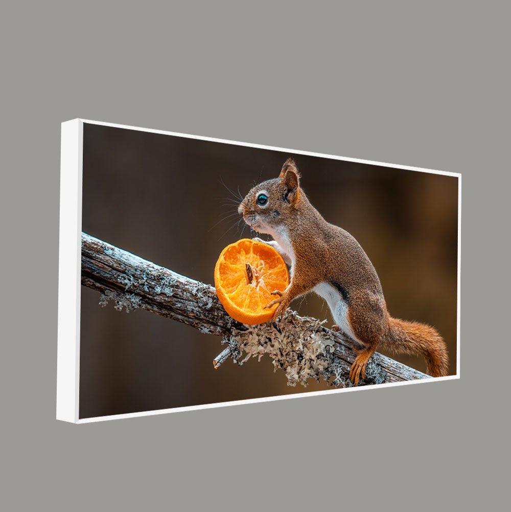 Squirrel on Tree Branch – Premium Canvas Wall Painting - Decor Smart