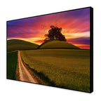 Sunset Grass Field Wall Painting Floating Canvas