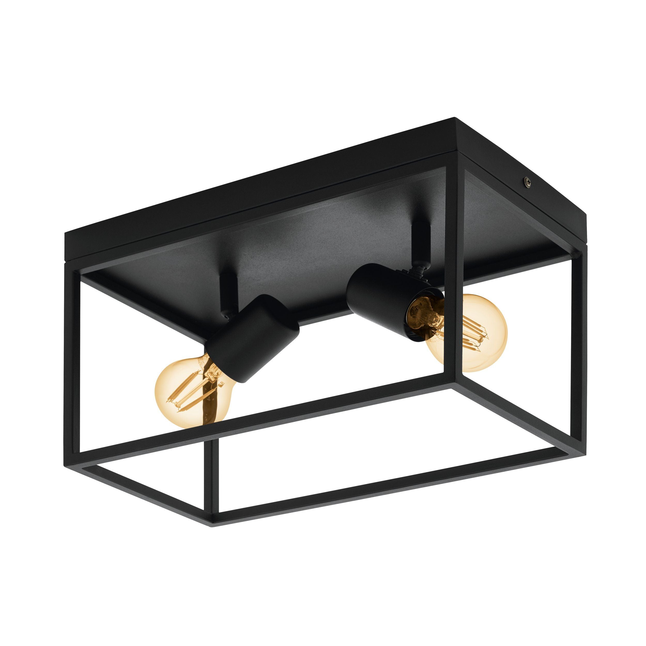 Two Bulb Steel Ceiling Light with Black Clear Glass