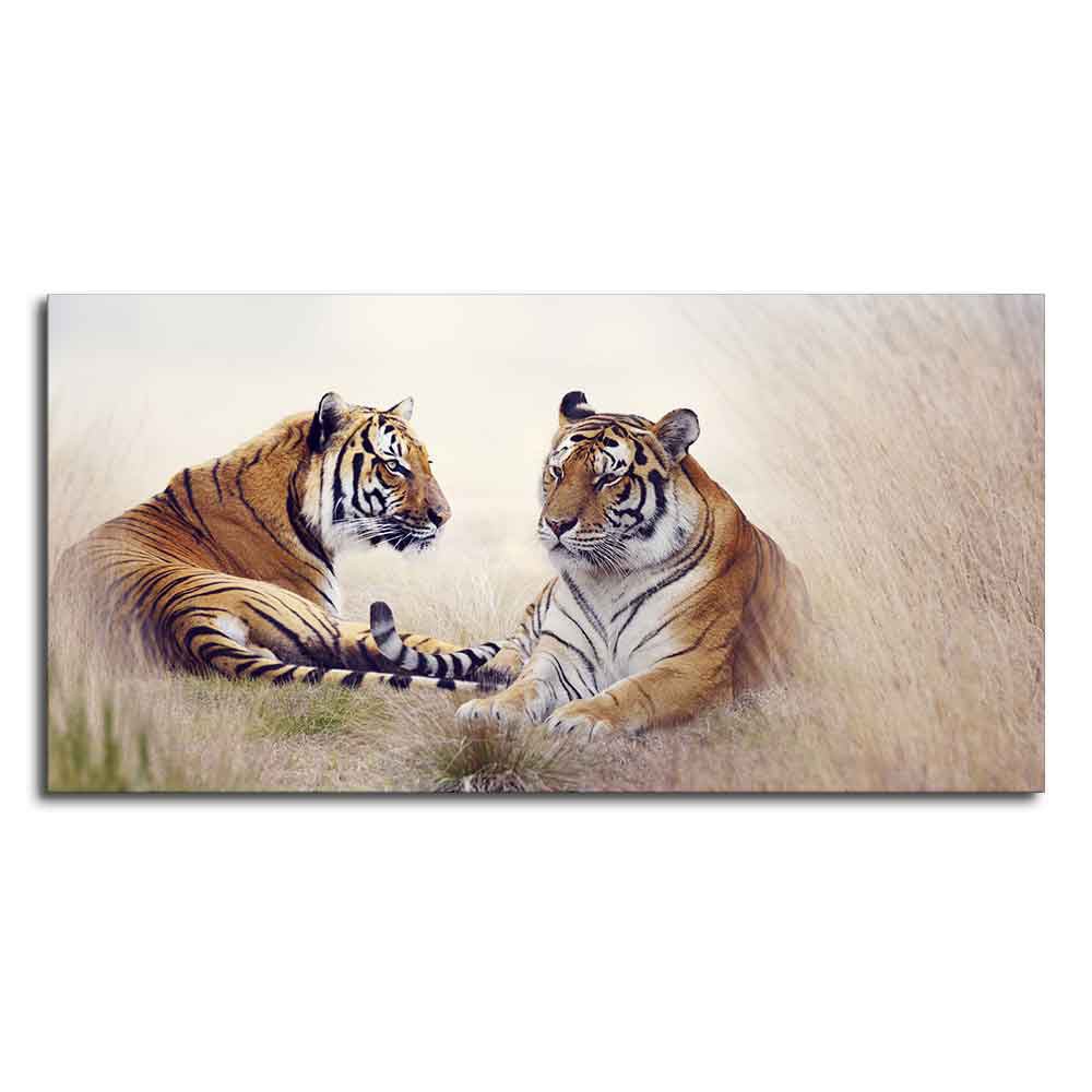 Two Tigers in Forest Premium Canvas Wall Hanging - Decor Smart