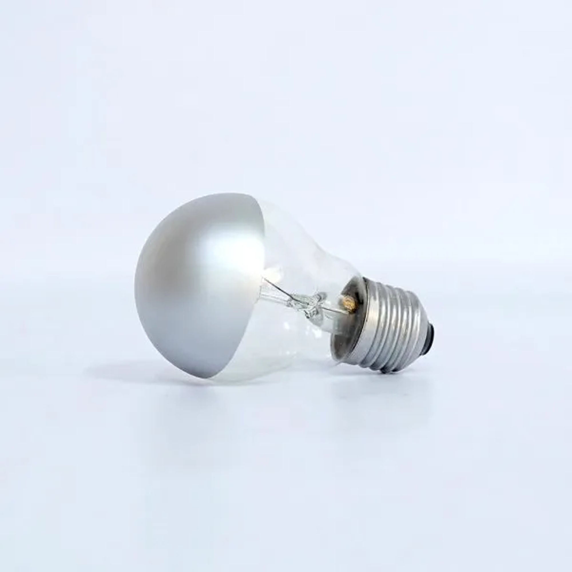 Silver Bright Tipped 100 Watt Filament Bulb ‚Äö√Ñ√¨ Set of 2 bulbs