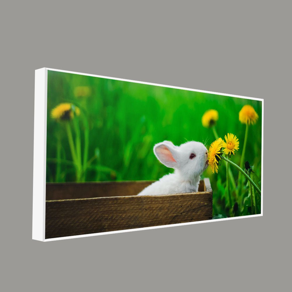 White Bunny in Yellow Flowers – Garden Canvas Wall Painting - Decor Smart