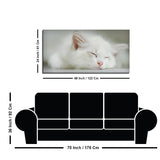 White Kitten Sleeping Canvas – Cute Wall Painting - Decor Smart