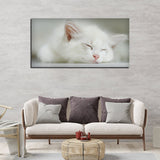 White Kitten Sleeping Canvas – Cute Wall Painting - Decor Smart