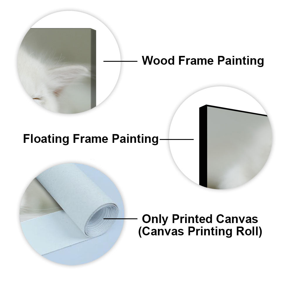 White Kitten Sleeping Canvas – Cute Wall Painting - Decor Smart