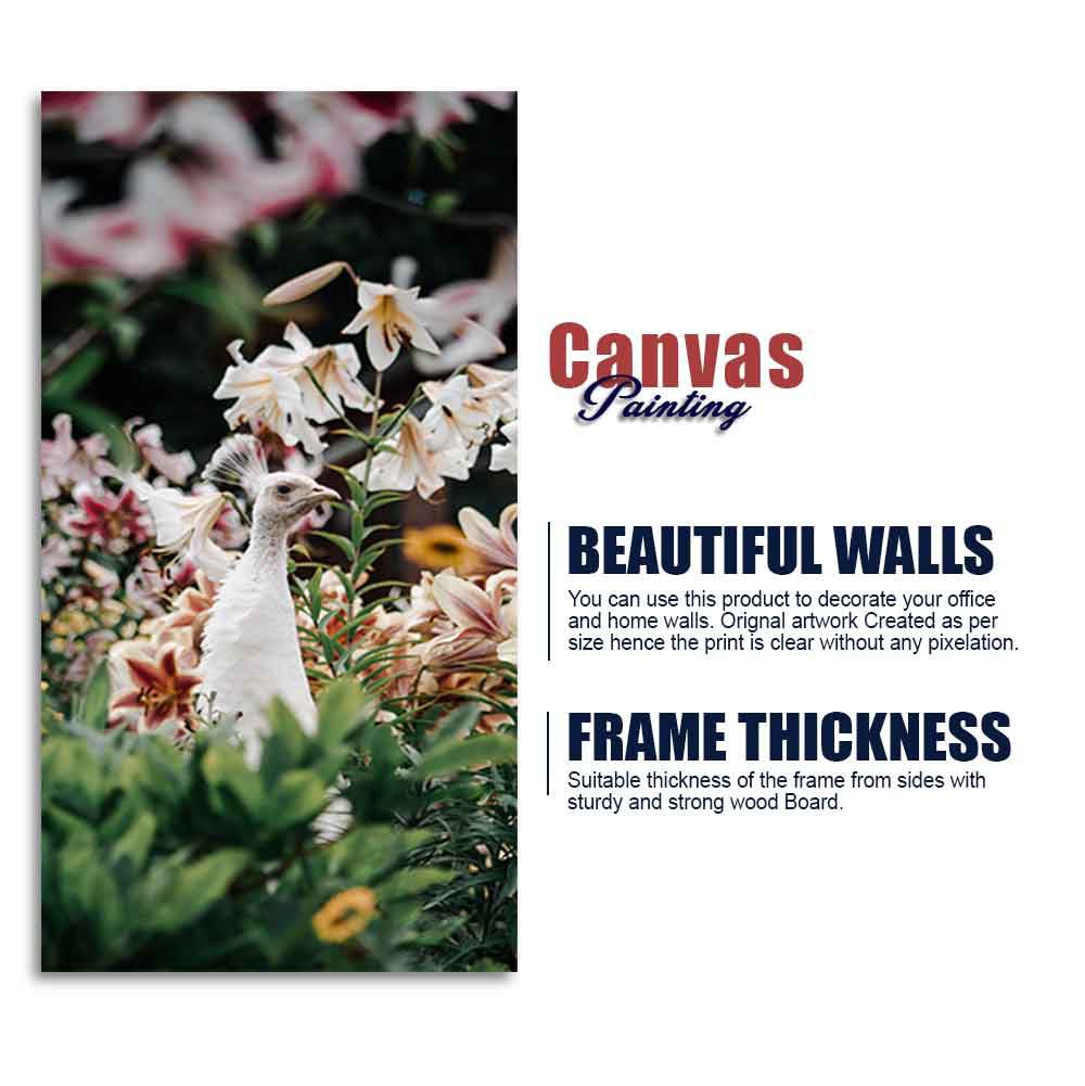White Peacock Canvas Wall Painting - Decor Smart