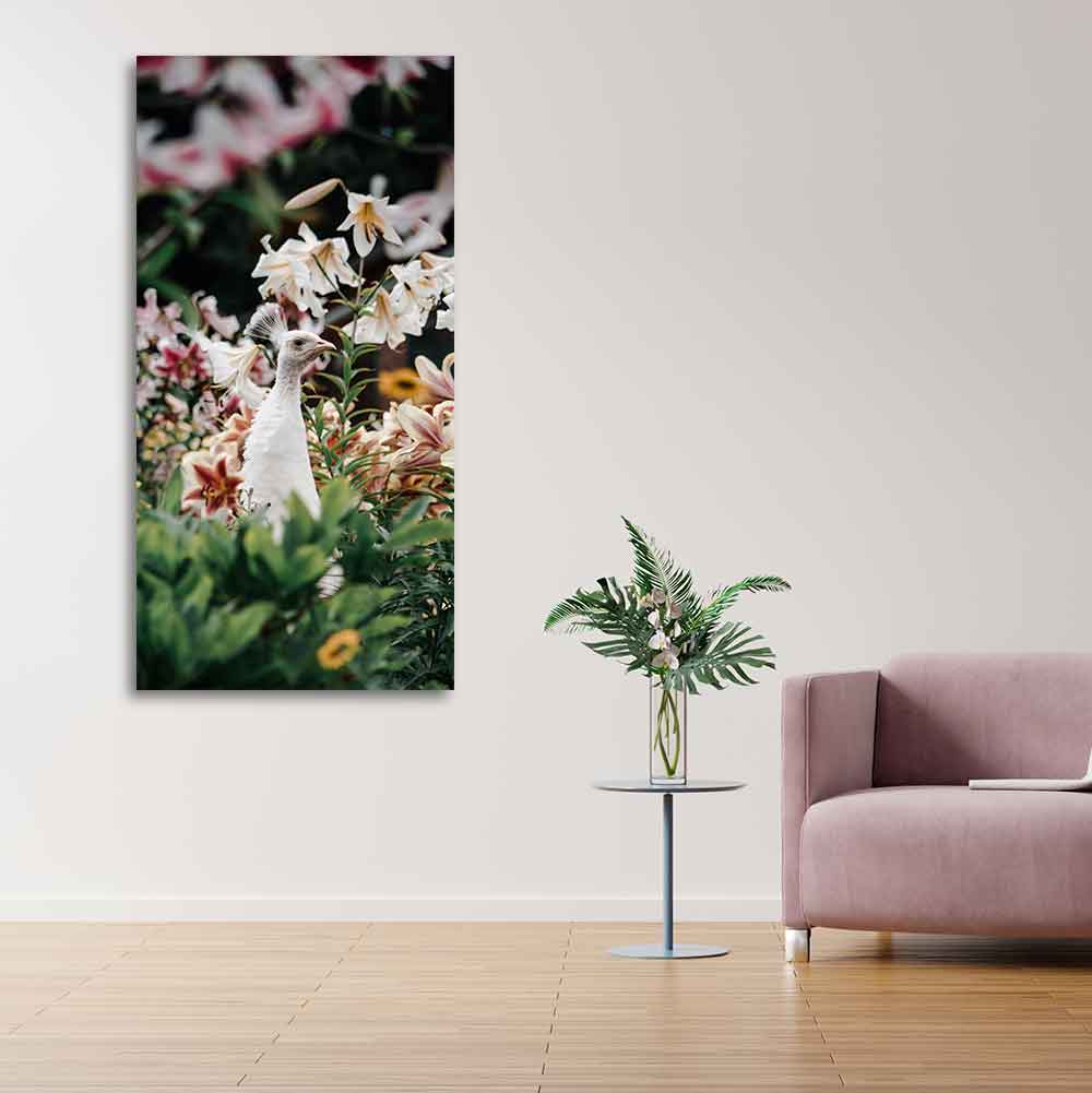 White Peacock Canvas Wall Painting - Decor Smart
